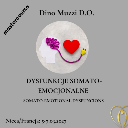 SOMATO-EMOCIONAL.png