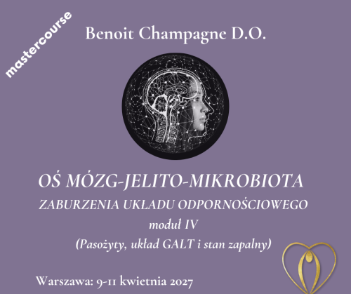Moduł IV.png
